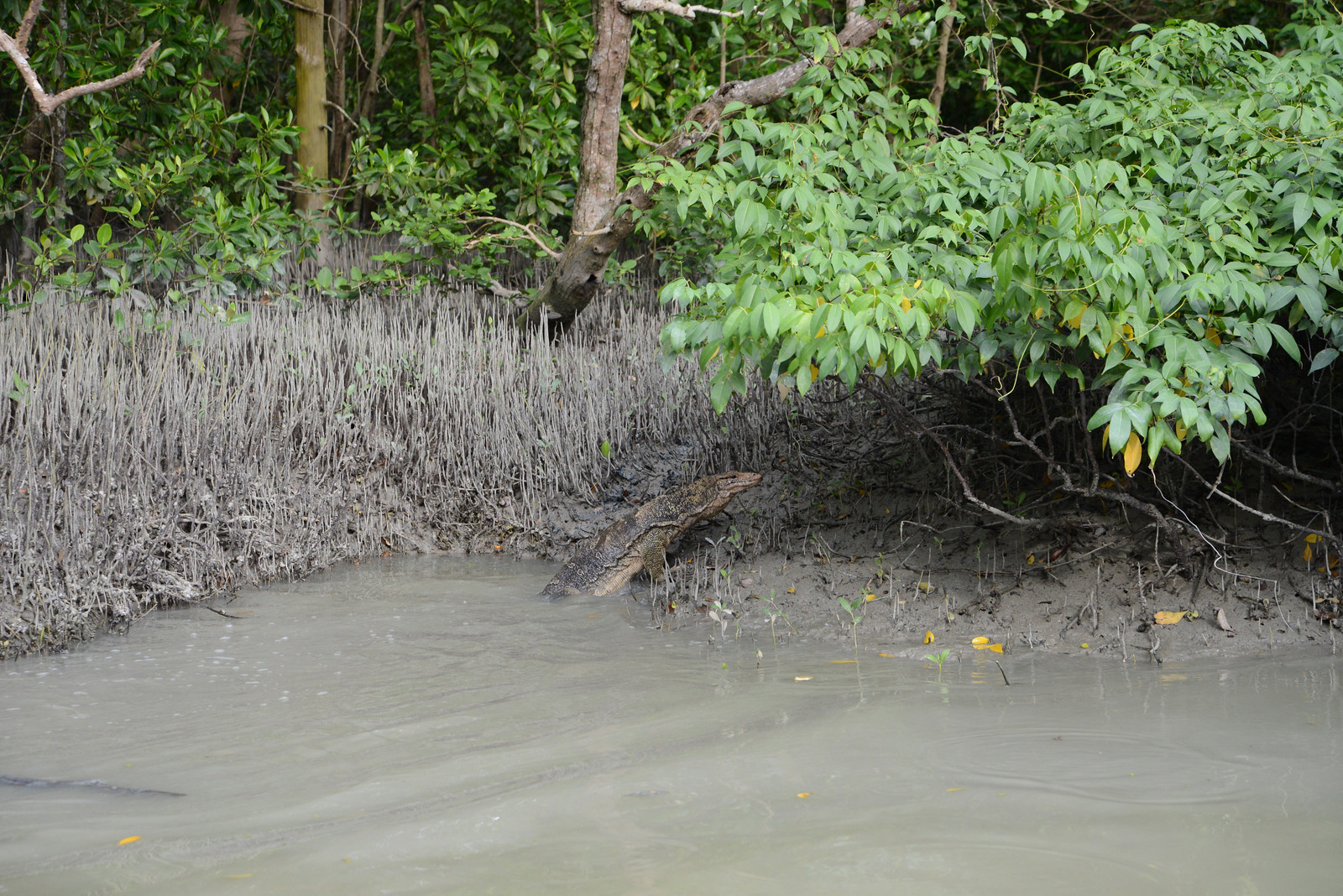 Balik Pulau, Malaysia